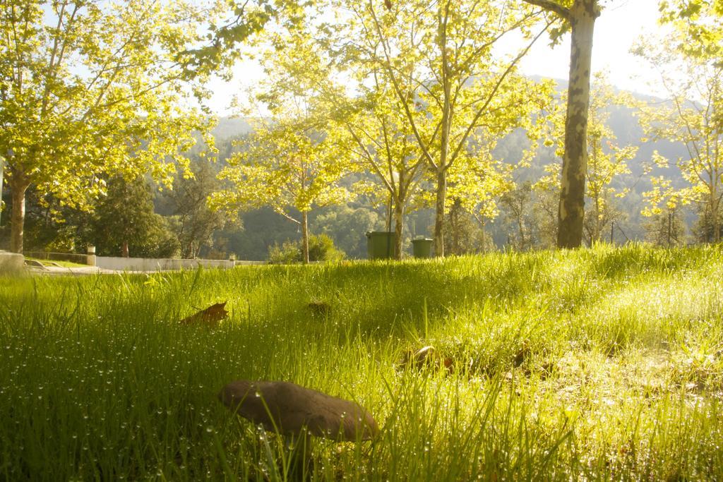 Gois Camping 외부 사진